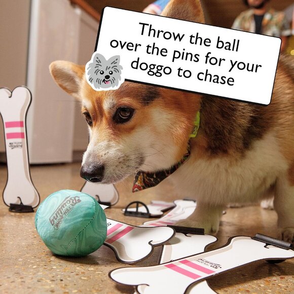 Ten Bone Bowling Dog Board Game A Family Party Game for You and Your Dog - Picture 4 of 6
